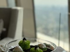 -The lounge 柏悦酒店大堂酒廊(上海环球金融中心店)