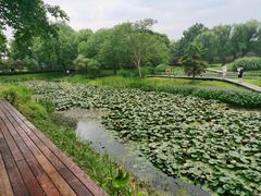 -西溪国家湿地公园