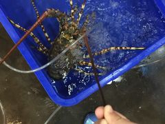 -幸福姐海鲜大排档