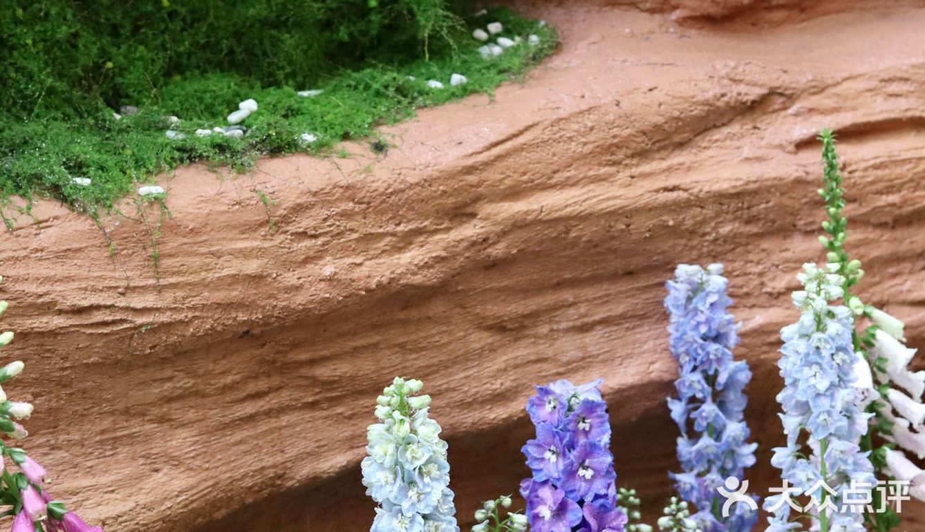 这‼️藏了一室“繁花”的春天💐