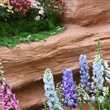 这‼️藏了一室“繁花”的春天💐