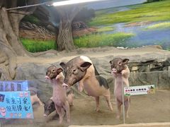 -正佳雨林生态植物园
