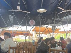-桃源山庄·水蜜桃采摘·柴火鸡·烧烤团建(龙泉山店)