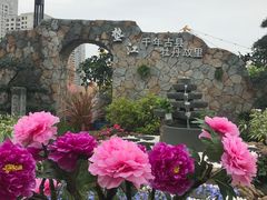 -重庆市江北嘴中央商务区中央公园