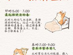 -船长酒吧 The Captain