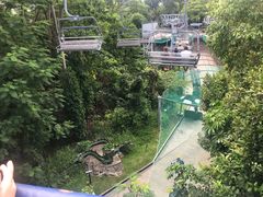 -圣淘沙天际线斜坡滑车