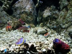 -福州罗源湾海洋世界旅游区