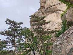 -崂山仰口游览区