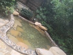 -天目湖涵田半山温泉