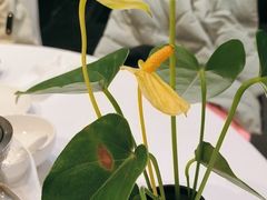 -眉州东坡(通州店)