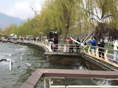 -滇池海埂公园