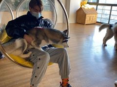 -Husky Go! 哈士奇体验馆·宠物咖啡厅狗咖