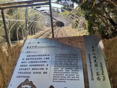 -石老人观光园