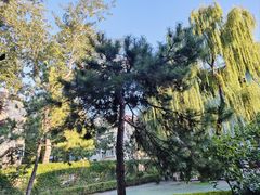 -红黄蓝幼儿园(颐东苑店)