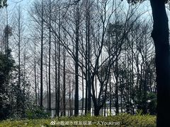 -渤公岛生态公园