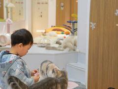 -COLOR PETS 撸猫馆·购猫·猫咖(长风大悦城店)