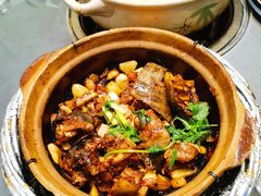 甲鱼煲-金龙·打边炉(武进路店)