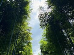 -安吉龙王山峡谷漂流