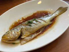 清蒸小黄鱼-金地利海鲜酒楼(清凉门店)