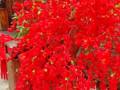 -蜀大侠火锅(总府路店)