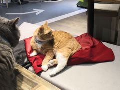 -小时光咖啡馆(开森度假森林店)