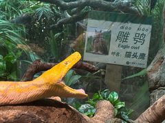 -广州长隆野生动物世界