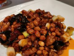 -芙蓉凰花园酒楼