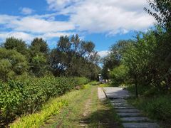 -永定河休闲森林公园