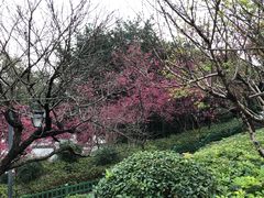 -乌山风景区