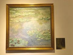 -印象莫奈时光映迹艺术展
