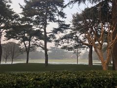 -钓鱼台国宾馆