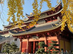 -上海东林寺(金山区)