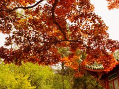 -莫干山风景区
