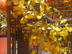 -徽镇小厨·经典徽菜(十里河店)