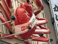 -蟹道乐(道顿堀本店)