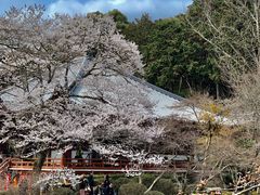 -醍醐寺