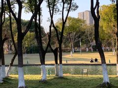 -院士公园