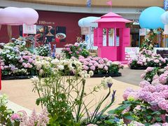 -上海长风大悦城