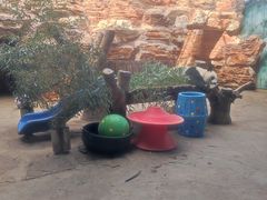 -石家庄市动物园