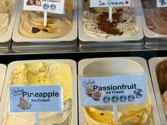 -Dooley's Premium Ice Cream