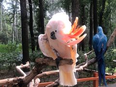 -北京野生动物园