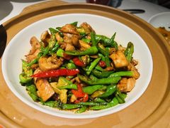 -许家菜(DT51店)
