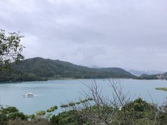 -金盆阿嬷香菇茶叶蛋(玄光店)