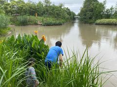 -上海长兴岛郊野公园