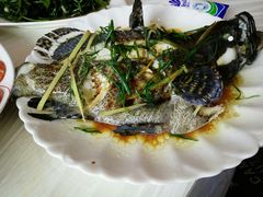 清蒸石斑鱼-覃记海鲜美食餐厅