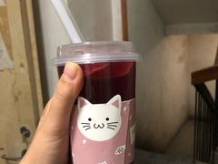 -浣熊柯尔鸭土拨鼠·电玩咖