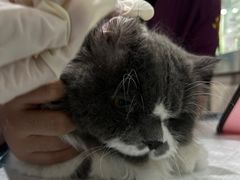 -暖阳宠物医院·犬猫康复中心·骨科