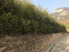 -竹子庵公园