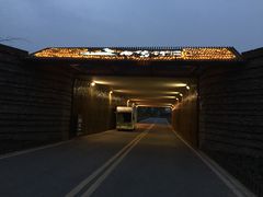 -白鹭湾湿地公园