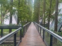 -黄海国家森林公园